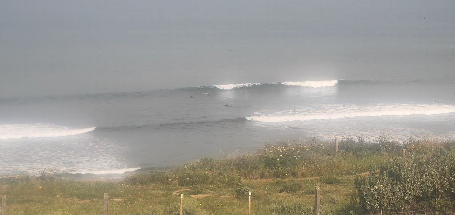 Bumpy Wave Simple Great options this week across both regions | Swellnet